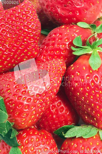 Image of Strawberries