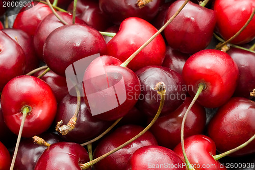 Image of Red cherry