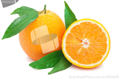 Image of Orange