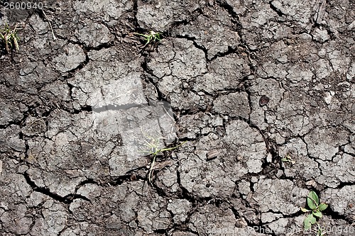 Image of Dry land