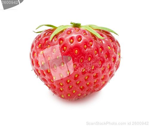 Image of Strawberry