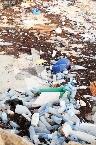 Image of Beach detritus