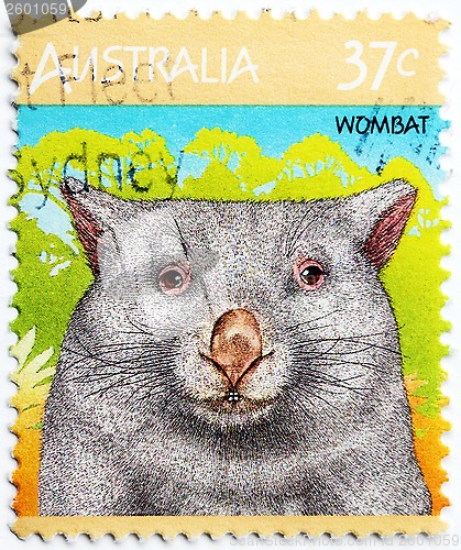 Image of Wombat Stamp