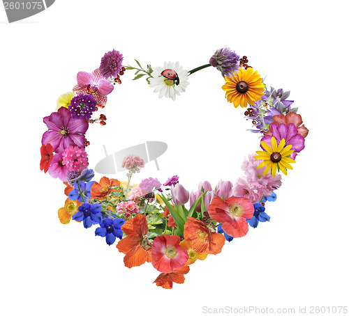 Image of Assorted Flowers In Heart Shape