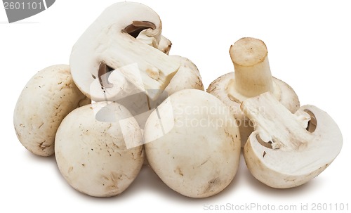 Image of Champignon mushrooms