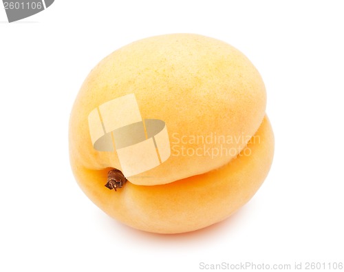 Image of Apricot