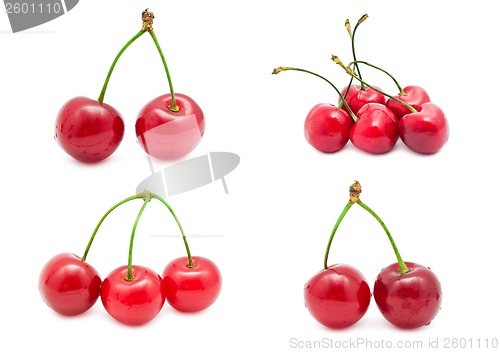 Image of Cherry