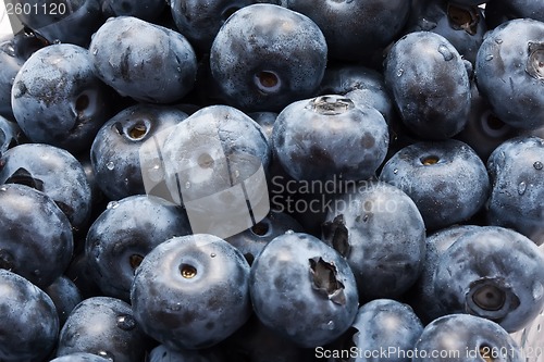 Image of Blueberries