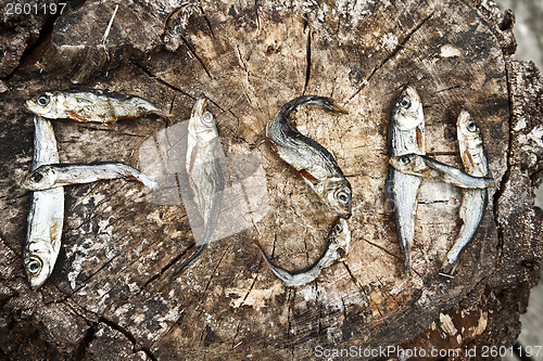 Image of Small dried fishes forming the word fish