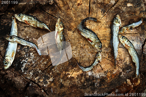 Image of Small dried fishes forming the word fish