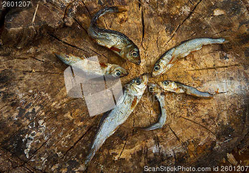 Image of Small dried fishes forming a star