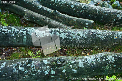 Image of Nature in south Sweden