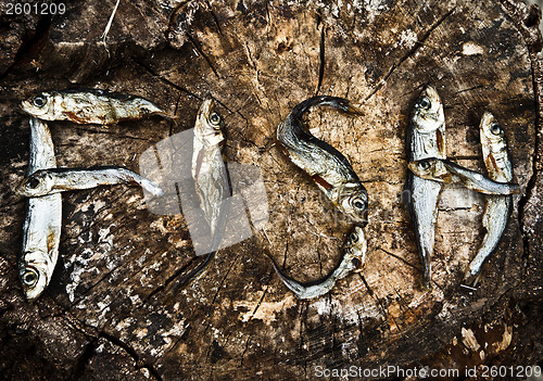 Image of Small dried fishes forming the word fish