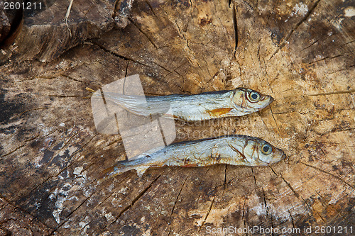 Image of Two small dried fishes on  wood