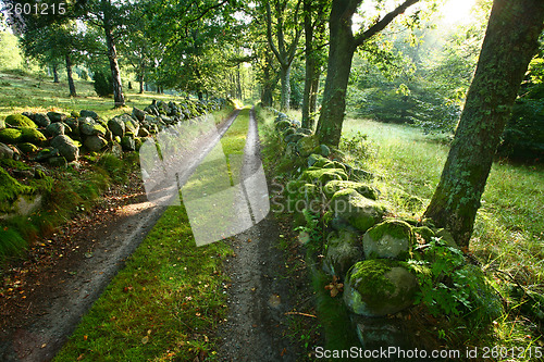 Image of Nature in south Sweden