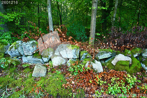 Image of Nature in south Sweden