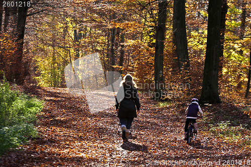 Image of Autumn forest pople