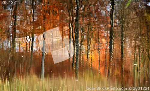 Image of Autumn forest reflexion