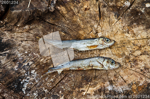 Image of Two small dried fishes on  wood