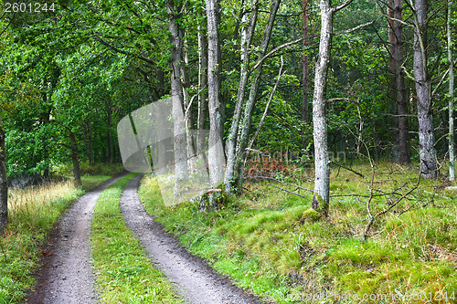 Image of Nature in south Sweden