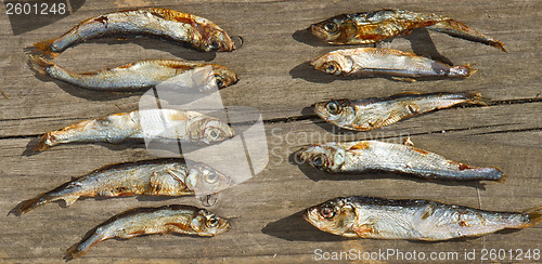 Image of Plenty of small dried fishes on a stack