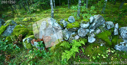 Image of Nature in south Sweden