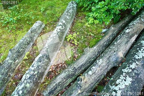 Image of Nature in south Sweden