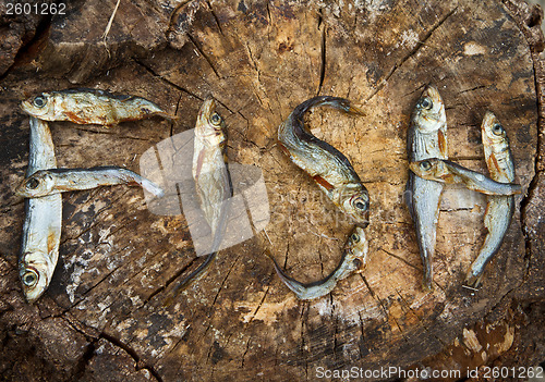 Image of Small dried fishes forming the word fish