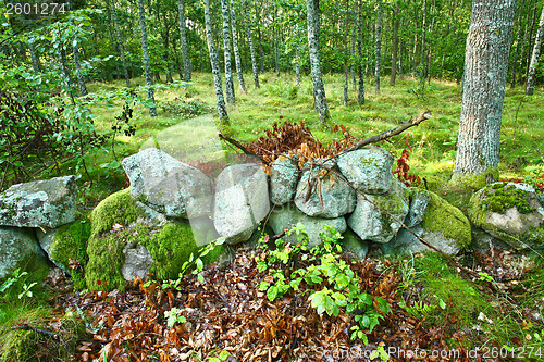 Image of Nature in south Sweden