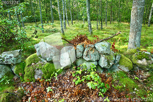 Image of Nature in south Sweden