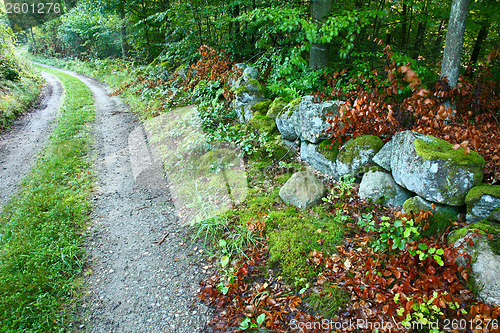 Image of Nature in south Sweden