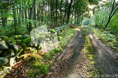 Image of Nature in south Sweden