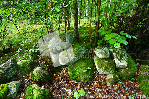 Image of Nature in south Sweden