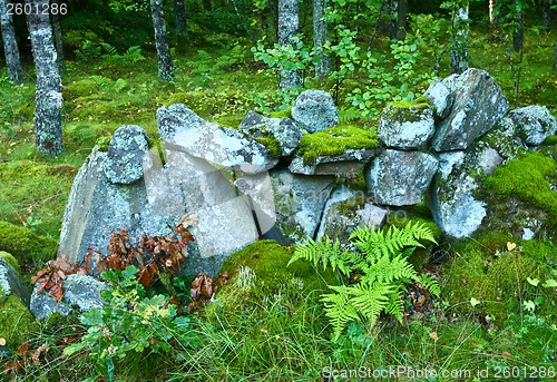 Image of Nature in south Sweden