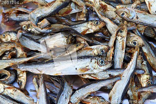 Image of Plenty of small dried fishes on a stack