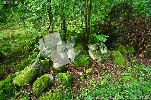 Image of Nature in south Sweden