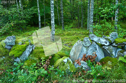 Image of Nature in south Sweden