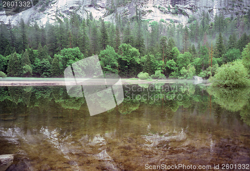 Image of Yosemite National Park