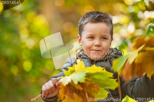 Image of autumn baby boy