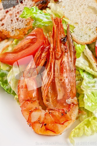 Image of Tasty shrimp salad