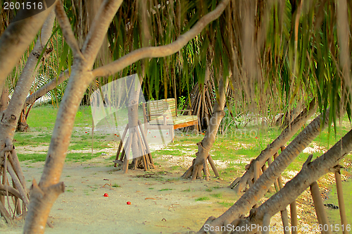 Image of Loneliness Bench