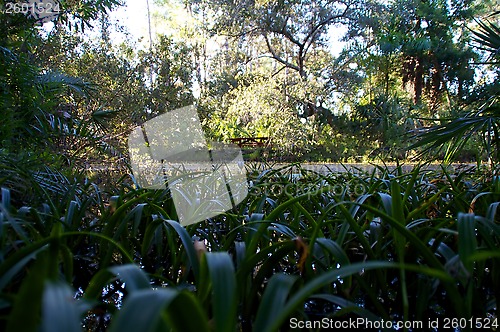 Image of low angle view across pond