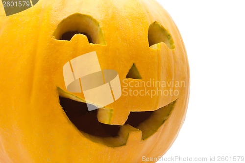 Image of Halloween pumpkin