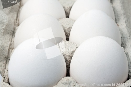 Image of Fresh eggs