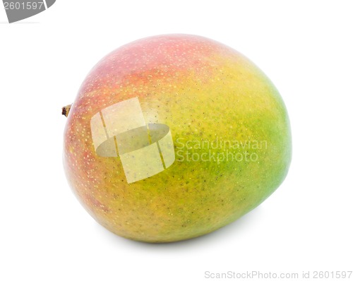 Image of Mango