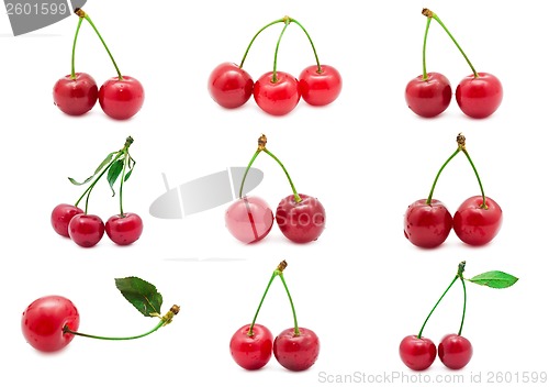 Image of Cherry