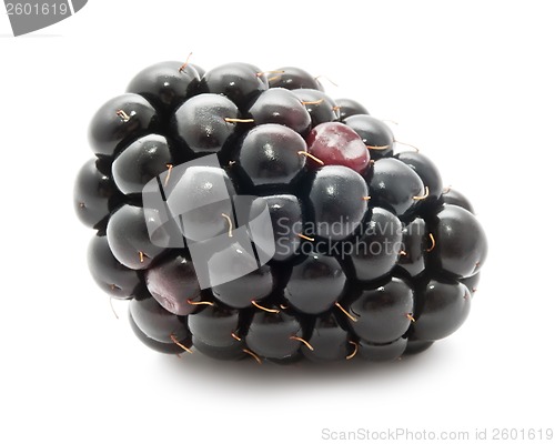 Image of Blackberry