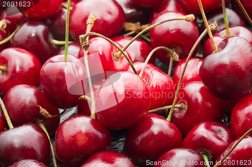 Image of Red cherry