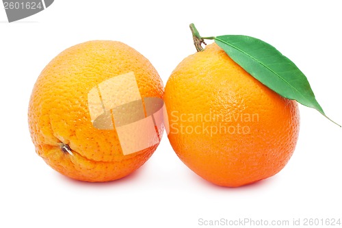 Image of Orange