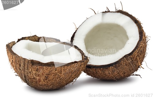 Image of Coconut